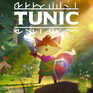 Tunic cover